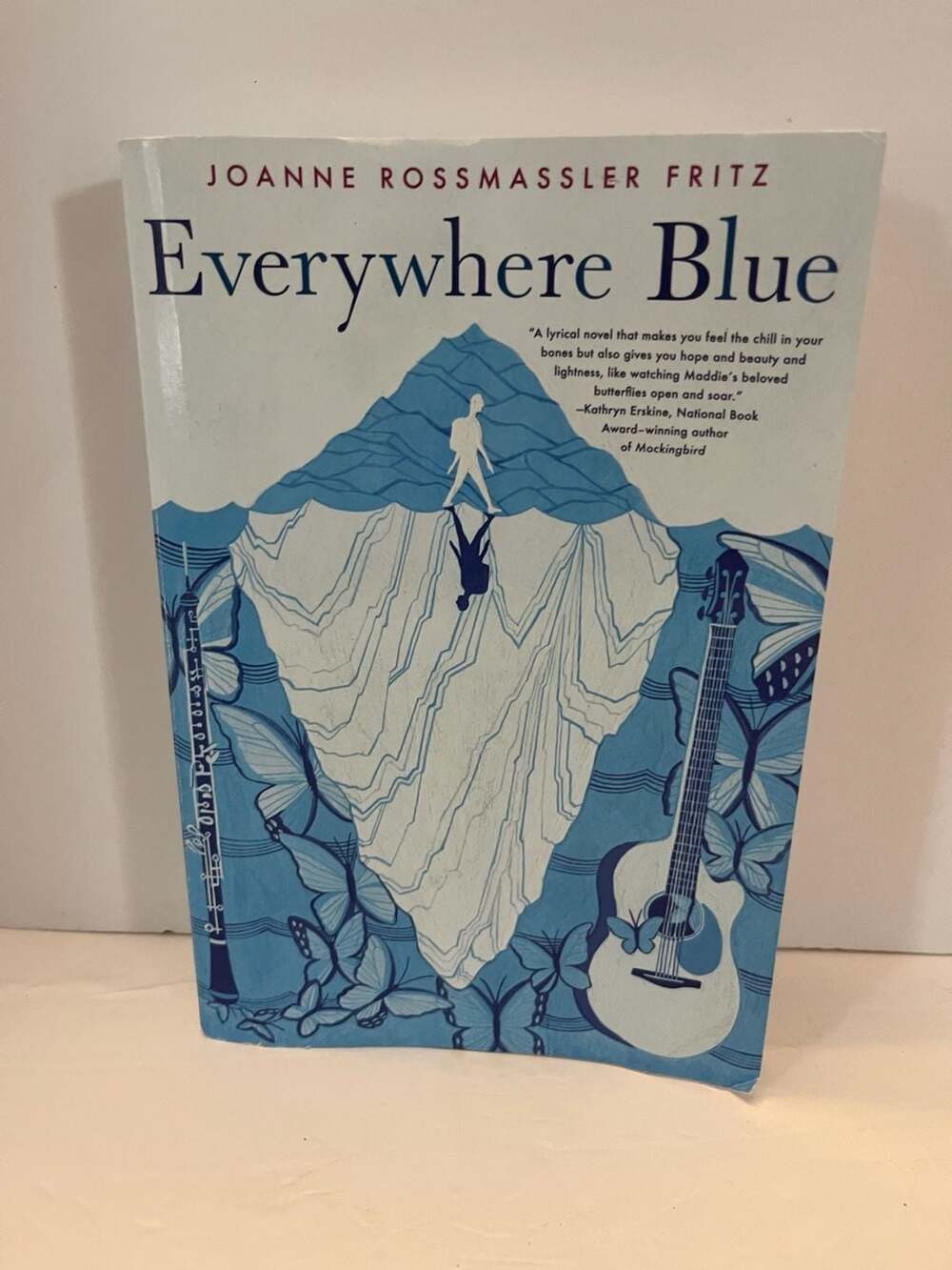 Everywhere Blue By Joanne Rossmassler Fritz Paperback Novel